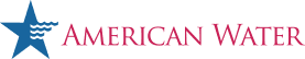 American Water Works Company