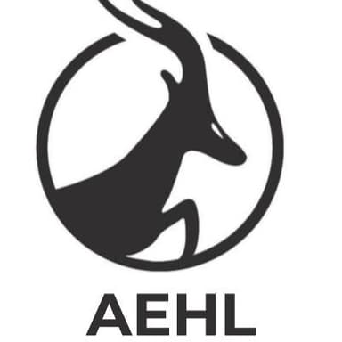 Antelope Enterprise Holdings