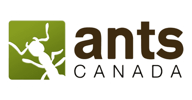 AntsCanada