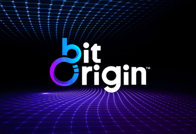 Bit Origin