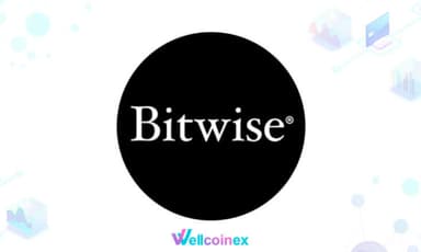 Bitwise Asset Management