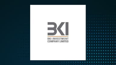 BKI Investment Company
