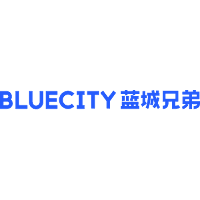 BlueCity Holdings