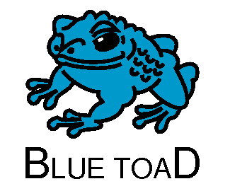 Bluetoad