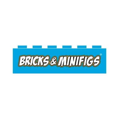 Bricks & Minifigs
