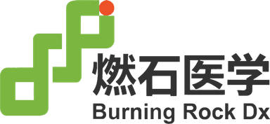 Burning Rock Biotech Limited