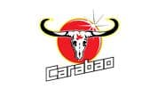 Carabao Group Public Company