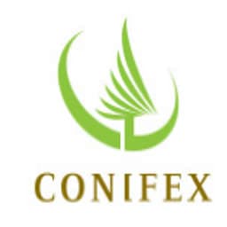 Conifex Timber