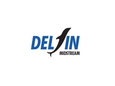 Delfin Midstream