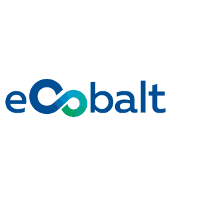 eCobalt Solutions