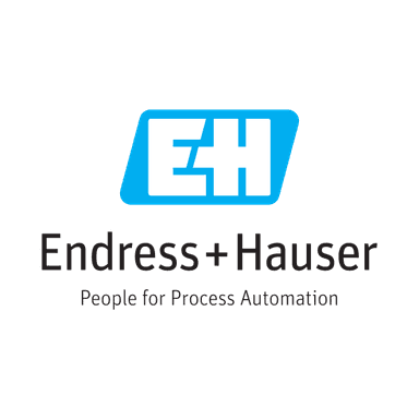 Endress+Hauser Group