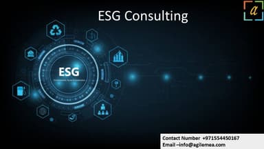 ESG Consulting