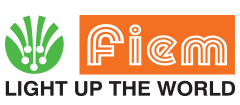 Fiem Industries Limited