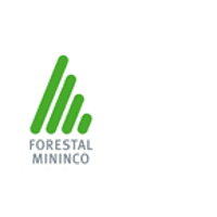 Forestal Mininco