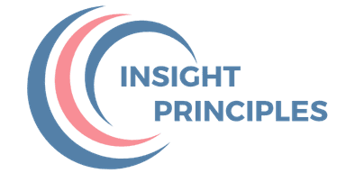 Insight Principles