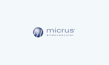 Micrus Endovascular