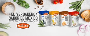 Minsa USA