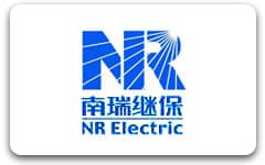 NR Electric Co Ltd Tianneng Power International