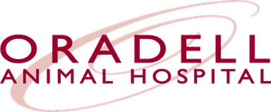 Oradell Animal Hospital