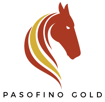 Pasofino