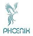 Phoenix Medical Technologies & Imports