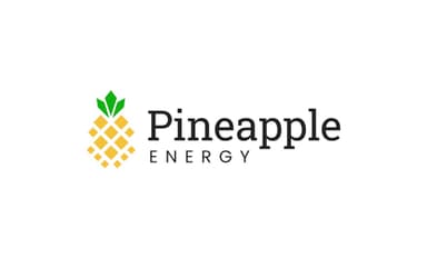PINEAPPLE ENERGY