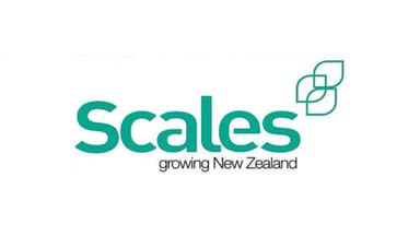 SCALES CORPORATION LIMITED