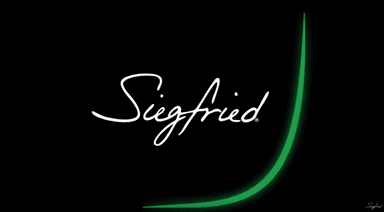 Siegfried Group