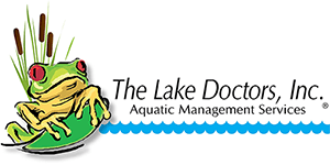 The Lake Doctors