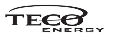 Thermal Energy Corporation (TECO)