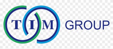 TIM Group