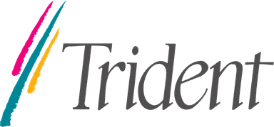Trident Microsystems