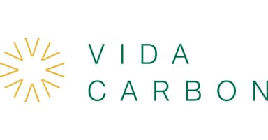 Vida Carbon