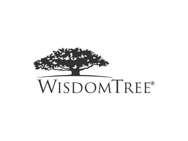 Wisdomtree Investment