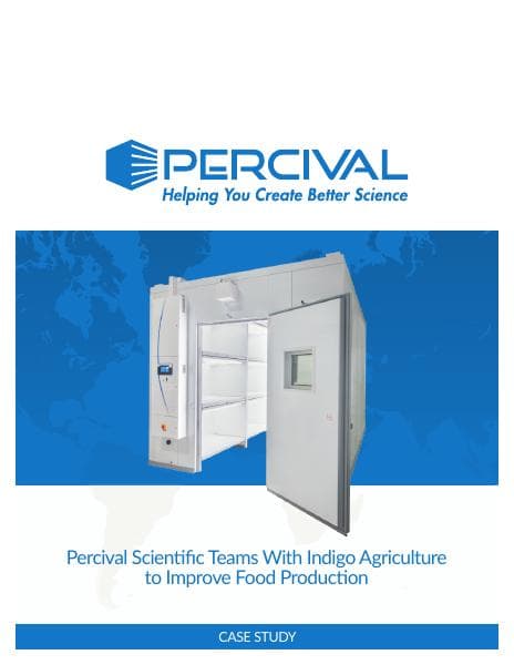 079-Case-Study-Indigo-080320-FNL