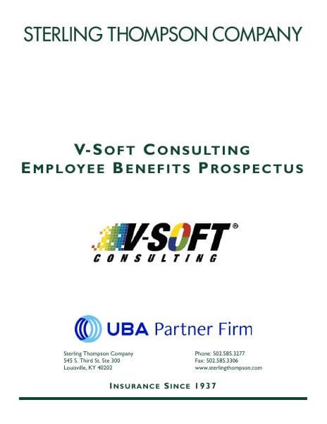 0c69c5d7b2d55e74a17f3dbfa19f76ac-v-soft-consulting-proposal-2021