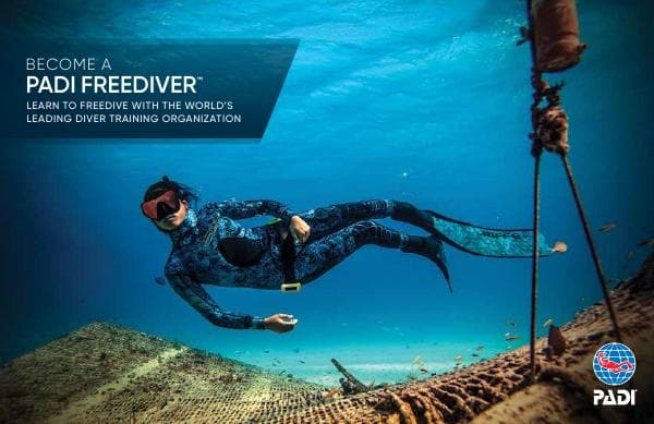 10027_Freediver_Brochure_PROOF%20-%20English