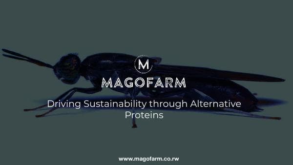 1585681343-MagofarmPitchDeck