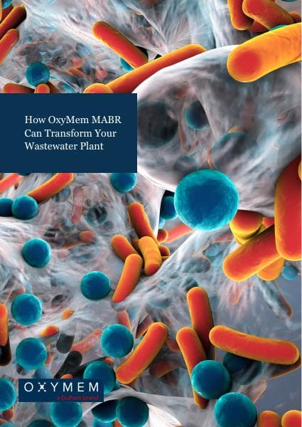 20181130%20Whitepaper