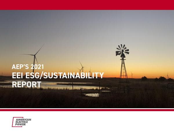 2021-EEI-ESGSustainabilityReportforInvestors_Carbon_Updates