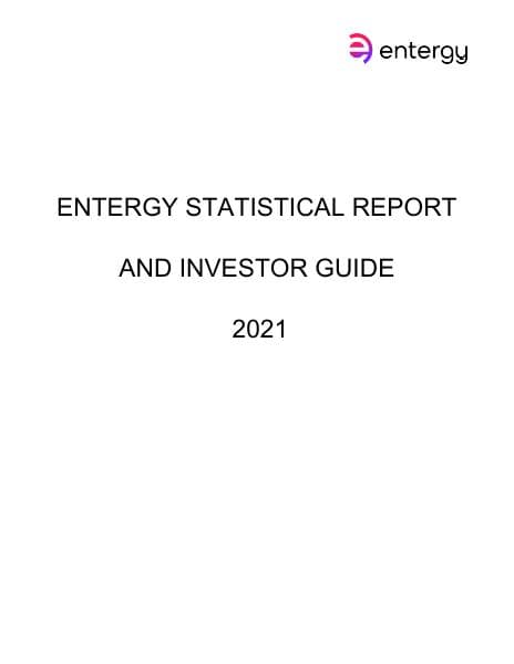 2021_Investor_Guide