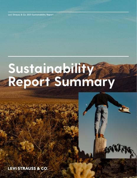 2021-Sustainability-Report-Summary-