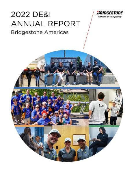 2022-DEI-Annual-Report-BSAM-English