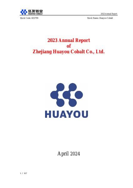 2023AnnualReportofHuayouCobalt1