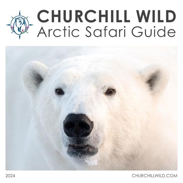 2024-brochure-March-1-SM