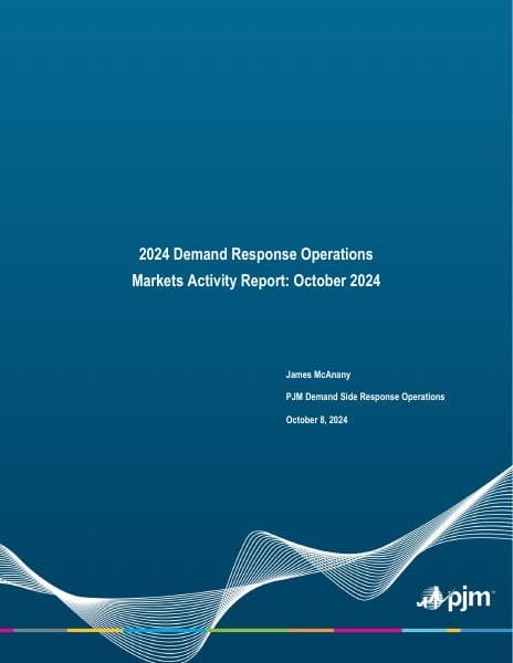 2024-demand-response-activity-report.ashx
