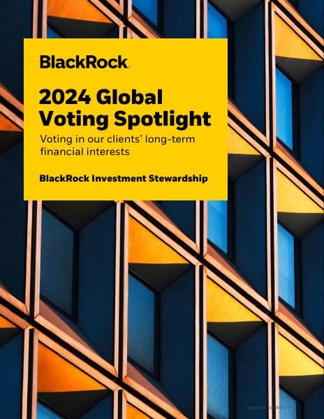 2024-investment-stewardship-voting-spotlight