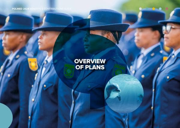 2024-Overview-of-Plans