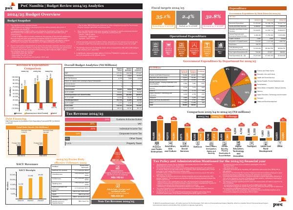2024-pwc-analytics-page