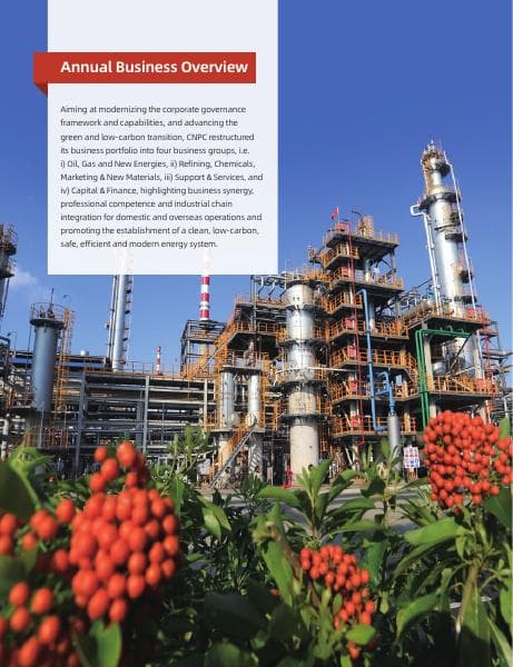 2337aa994ec24e22889405a228ba8220